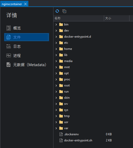 View a Container&#39;s Filesystem