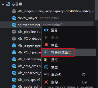 Open Terminal Window to a Container