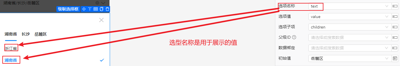 选项名称