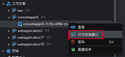 Opening a terminal into a Pod
