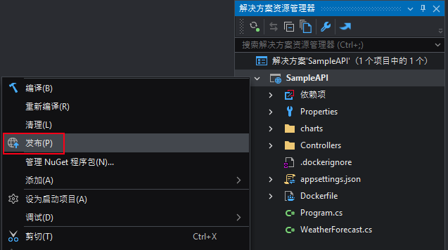 Publish project